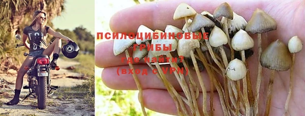МДМА Арсеньев