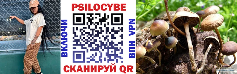 ОМГ ОМГ ссылки  Губаха  Галлюциногенные грибы мицелий 