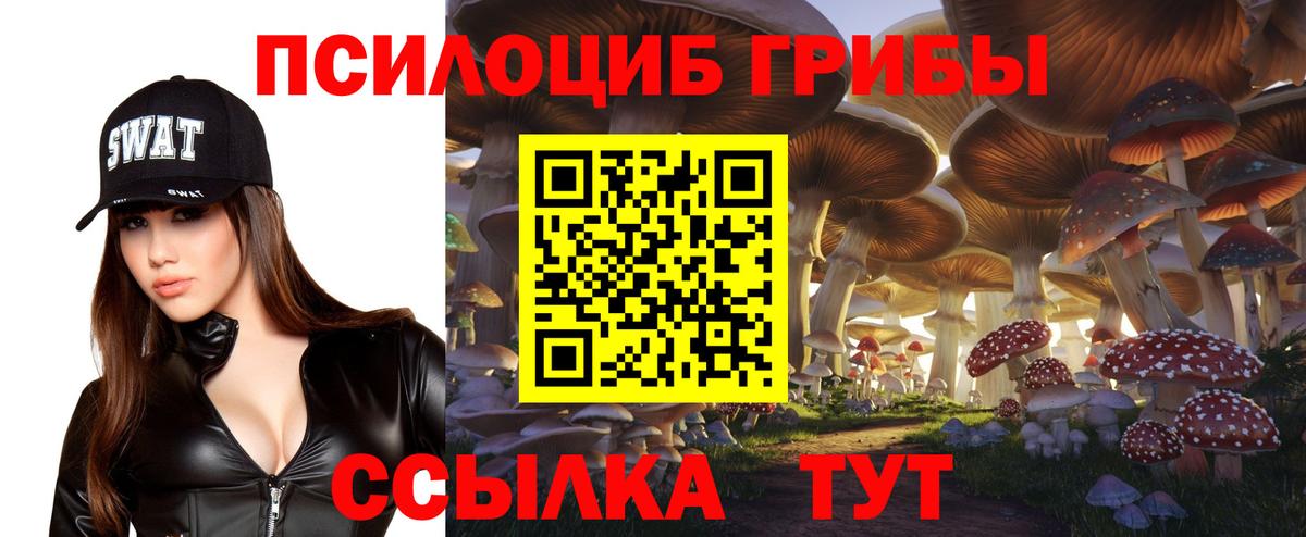 Псилоцибиновые грибы мухоморы  купить наркотики сайты  Губаха  Вход с VPN 